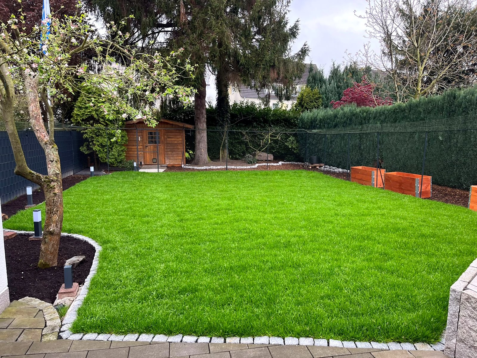 Große neu angelegte Rasenfläche mit Hochbeeten und Gartenhaus